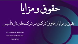 حقوق و مزایای قانونی کارکنان در شرکت‌های تازه‌تأسیس